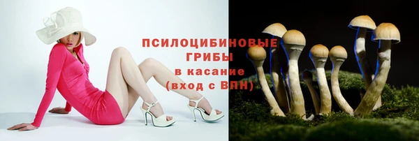 мескалин Алексин