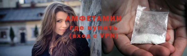 хмурый Абаза