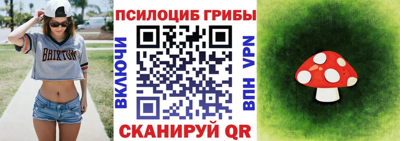 Псилоцибиновые грибы Magic Shrooms  купить  сайты  площадка официальный сайт  Дегтярск 